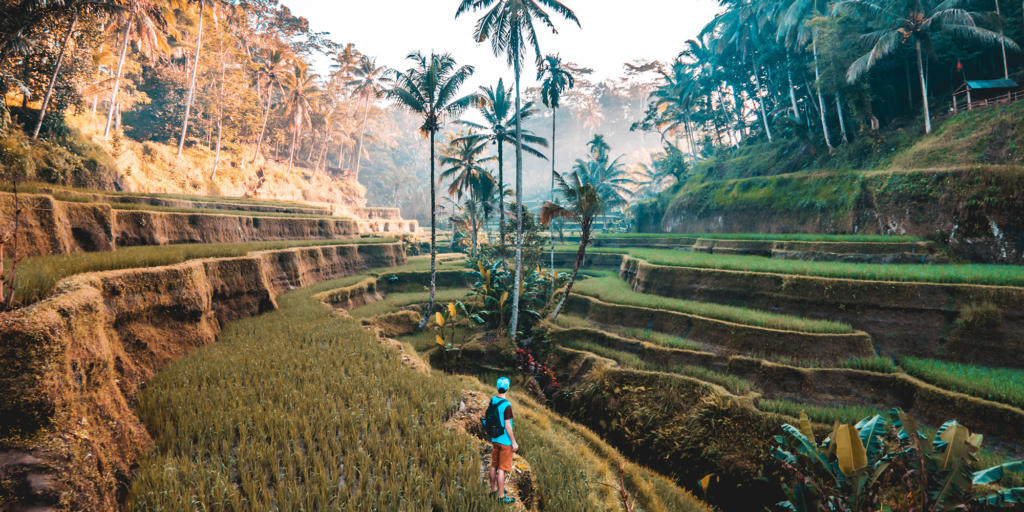 Bali Retreats for Solo Travellers, Couples and Groups I Voyemo