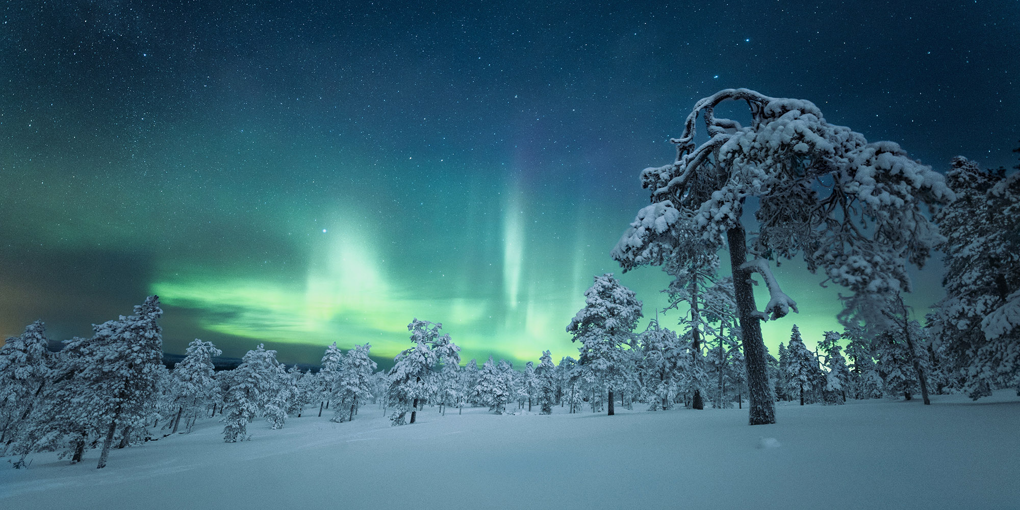 Finland Northern Lights Snow Landscape