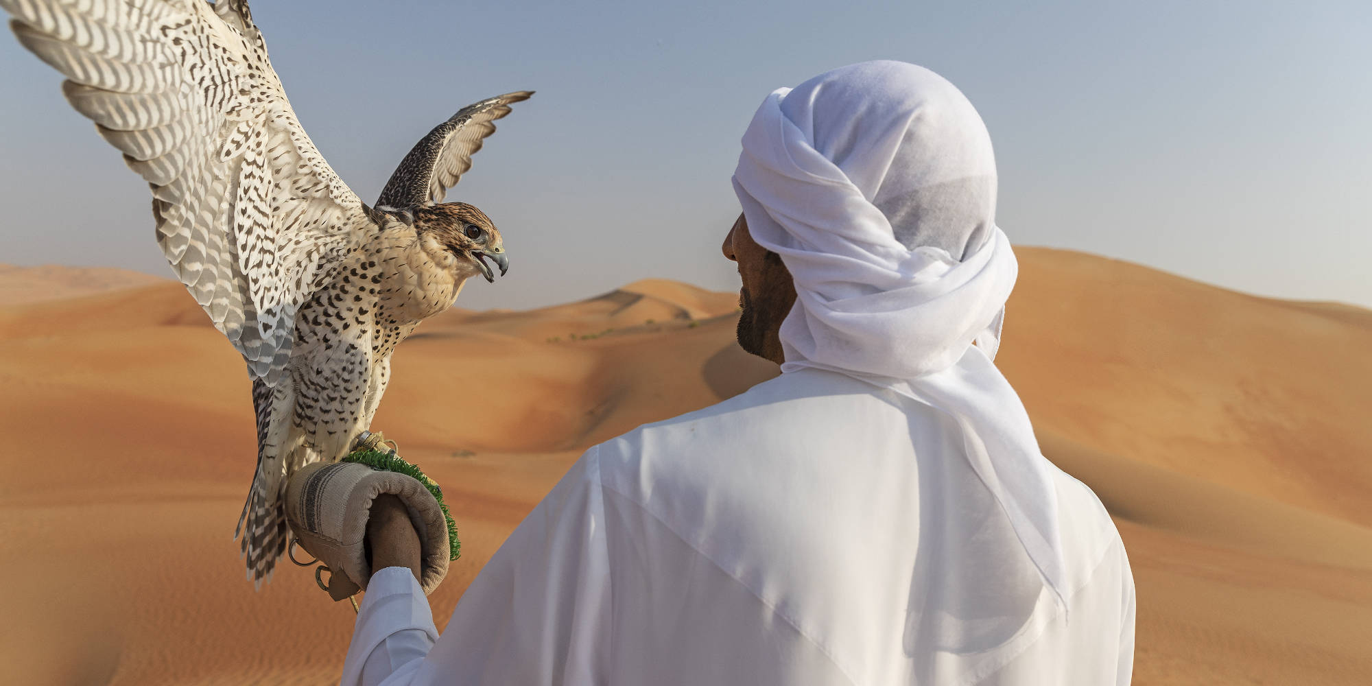 Abu Dhabi desert excursions