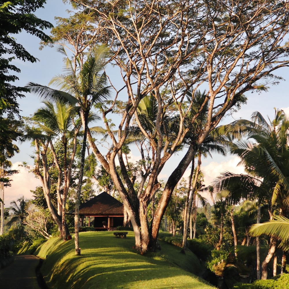 2025.06 Bali - 112 von 188 tours of indonesia